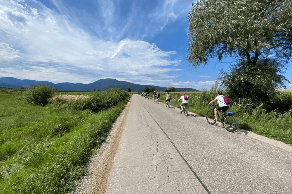 Gravel Biking in Slovenia: One Bike, Endless Possibilities